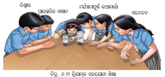 Class 7 Science Chapter 6 Notes Odia Medium କିଶୋରାବସୁ ବୃଦ୍ଧି ଓ ପରିବର୍ତ୍ତନ 7