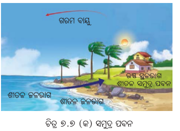 Class 7 Science Chapter 7 Notes Odia Medium ପ୍ରକୃତିରେ ତାପ ସ୍ଥାନାନ୍ତରଣ 7