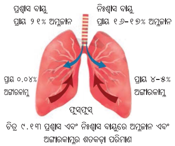 Class 7 Science Chapter 9 Question Answer Odia Medium ପ୍ରାଣୀମାନଙ୍କ ଜୀବନ ପ୍ରକ୍ରିୟା 15