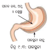 Class 7 Science Chapter 9 Question Answer Odia Medium ପ୍ରାଣୀମାନଙ୍କ ଜୀବନ ପ୍ରକ୍ରିୟା 7