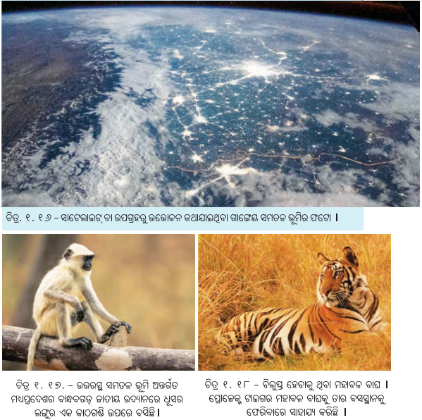 Class 7 Social Science Chapter 1 Question Answer Odia Medium ଭାରତର ଭୌଗୋଳିକ ବିବିଧତା-3