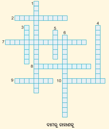 Class 7 Social Science Chapter 10 Question Answer Odia Medium ଭାରତର ସମ୍ବିଧାନ ଏକ ପରିଚୟ-3