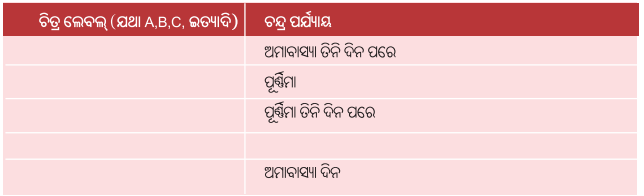 Class 8 Science Chapter 11 Question Answer Odia Medium ଆକାଶ ଚନ୍ଦ୍ର-ସୂର୍ଯ୍ୟଙ୍କ ଗତି ଓ ସମୟ ଗଣନା 3