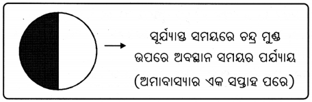 Class 8 Science Chapter 11 Question Answer Odia Medium ଆକାଶ ଚନ୍ଦ୍ର-ସୂର୍ଯ୍ୟଙ୍କ ଗତି ଓ ସମୟ ଗଣନା 4