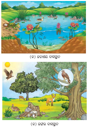 Class 8 Science Chapter 12 Notes Odia Medium ପ୍ରକୃତିର ସମନ୍ବୟ 1