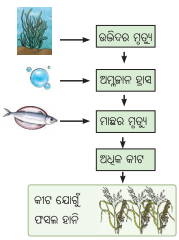 Class 8 Science Chapter 12 Notes Odia Medium ପ୍ରକୃତିର ସମନ୍ବୟ 14