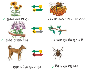 Class 8 Science Chapter 12 Notes Odia Medium ପ୍ରକୃତିର ସମନ୍ବୟ 17