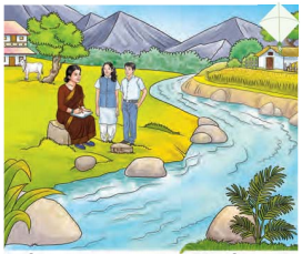 Class 8 Science Chapter 12 Notes Odia Medium ପ୍ରକୃତିର ସମନ୍ବୟ 5