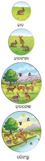 Class 8 Science Chapter 12 Notes Odia Medium ପ୍ରକୃତିର ସମନ୍ବୟ 6