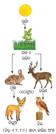 Class 8 Science Chapter 12 Question Answer Odia Medium ପ୍ରକୃତିର ସମନ୍ବୟ 2