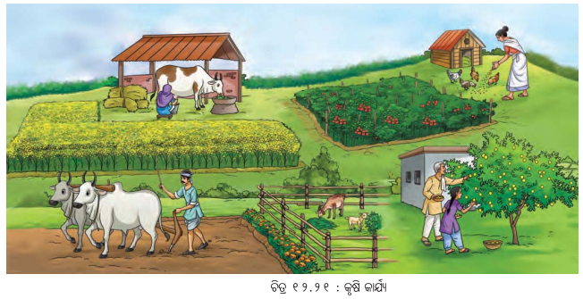 Class 8 Science Chapter 12 Question Answer Odia Medium ପ୍ରକୃତିର ସମନ୍ବୟ 4