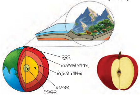 Class 8 Science Chapter 13 Notes Odia Medium ଆମ ପୃଥିବୀ ଜୀବନଧାରଣକାରୀ ଏକ ଅନ୍ୟନ୍ୟ ଗ୍ରହ 1