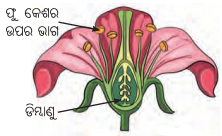Class 8 Science Chapter 13 Notes Odia Medium ଆମ ପୃଥିବୀ ଜୀବନଧାରଣକାରୀ ଏକ ଅନ୍ୟନ୍ୟ ଗ୍ରହ 10