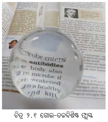 Class 8 Science Chapter 2 Notes Odia Medium ଅଣୁଜୀବ ଜଗତ 1
