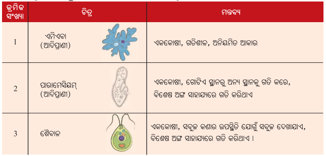 Class 8 Science Chapter 2 Notes Odia Medium ଅଣୁଜୀବ ଜଗତ 10