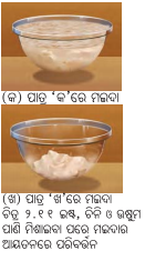 Class 8 Science Chapter 2 Notes Odia Medium ଅଣୁଜୀବ ଜଗତ 15