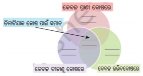 Class 8 Science Chapter 2 Question Answer Odia Medium ଅଣୁଜୀବ ଜଗତ 1