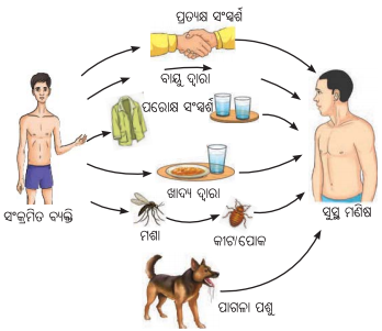 Class 8 Science Chapter 3 Notes Odia Medium ସ୍ଵାସ୍ଥ୍ୟ ହିଁ ସମ୍ପଦ 3