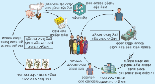 Class 8 Science Chapter 3 Notes Odia Medium ସ୍ଵାସ୍ଥ୍ୟ ହିଁ ସମ୍ପଦ 8