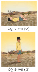 Class 8 Science Chapter 6 Question Answer Odia Medium ଚାପ, ବାୟୁ ପ୍ରବାହ ଓ ଝଡ଼ ବାତ୍ୟା 3
