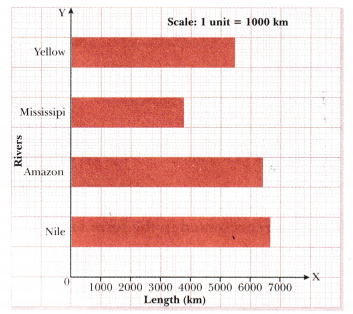 Data Handling and Presentation Class 6 Notes Maths Chapter 4-9