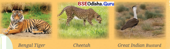 Diversity in the Living World Class 6 Notes Science Chapter 2 5