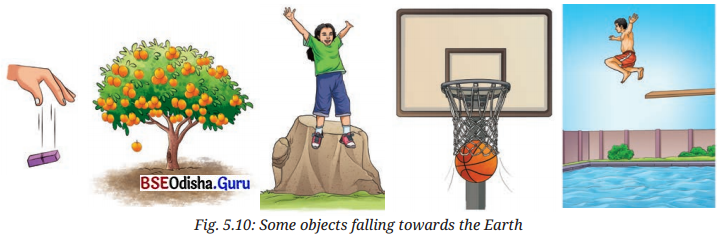 Exploring Forces Class 8 Question Answer Science Chapter 5.15