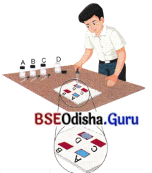 Exploring Substances Acidic Basic and Neutral Class 7 Extra Questions and Answers Science Chapter 2.4
