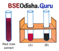 Exploring Substances Acidic Basic and Neutral Class 7 Extra Questions and Answers Science Chapter 2.5