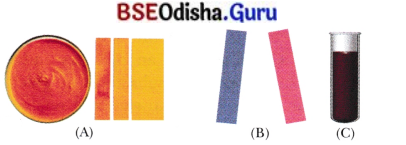 Exploring Substances Acidic Basic and Neutral Class 7 Extra Questions and Answers Science Chapter 2.7