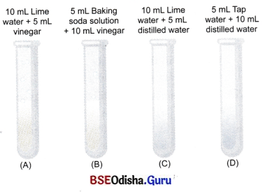 Exploring Substances Acidic Basic and Neutral Class 7 Extra Questions and Answers Science Chapter 2.8