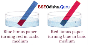 Exploring Substances Acidic, Basic, and Neutral Class 7 Notes Science Chapter 2 1