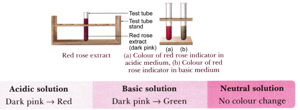 Exploring Substances Acidic, Basic, and Neutral Class 7 Notes Science Chapter 2 3