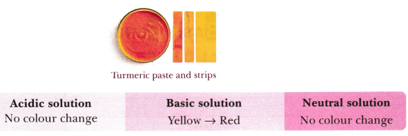 Exploring Substances Acidic, Basic, and Neutral Class 7 Notes Science Chapter 2 4