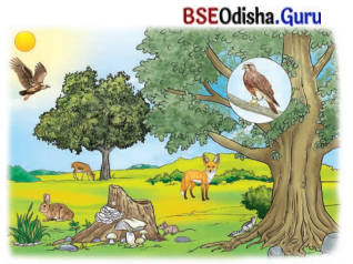 Exploring the Investigative World of Science Class 8 Question Answer Science Chapter 1.1