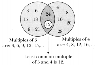 Finding Common Ground Class 7 Notes Maths Part 2 Chapter 3-5