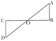 Geometric Twins Class 7 MCQ Maths Part 2 Chapter 1-2