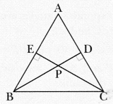 Geometric Twins Class 7 MCQ Maths Part 2 Chapter 1-8