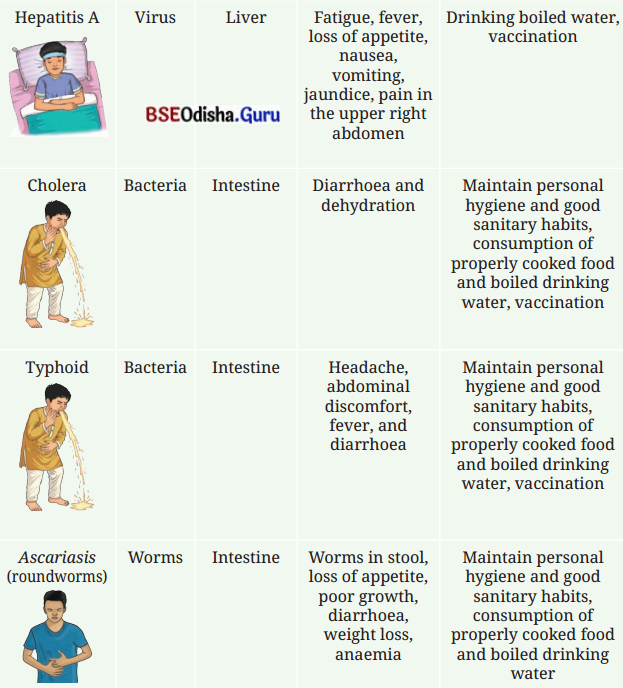 Health The Ultimate Treasure Class 8 Question Answer Science Chapter 3.5