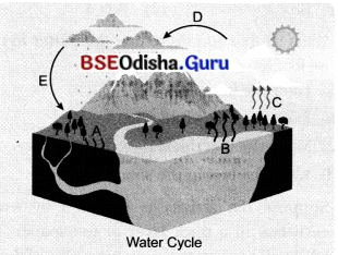 Heat Transfer in Nature Class 7 Extra Questions and Answers Science Chapter 7.1