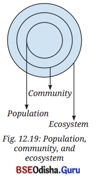 How Nature Works in Harmony Class 8 Question Answer Science Chapter 12.1
