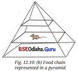 How Nature Works in Harmony Class 8 Question Answer Science Chapter 12.10