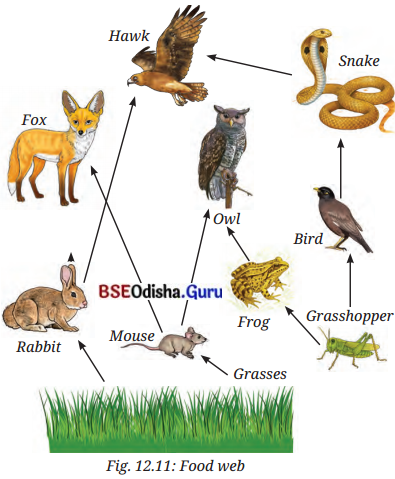 How Nature Works in Harmony Class 8 Question Answer Science Chapter 12.12