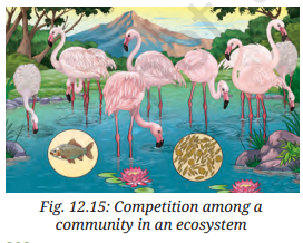 How Nature Works in Harmony Class 8 Question Answer Science Chapter 12.15