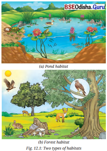 How Nature Works in Harmony Class 8 Question Answer Science Chapter 12.5
