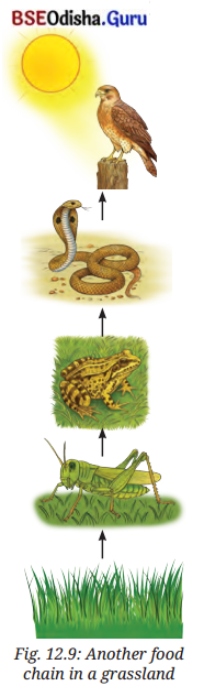 How Nature Works in Harmony Class 8 Question Answer Science Chapter 12.8