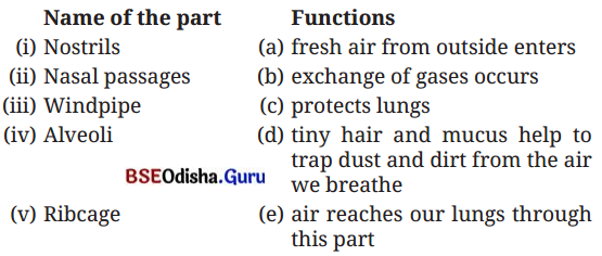 Life Processes in Animals Class 7 Question Answer Science Chapter 9.2