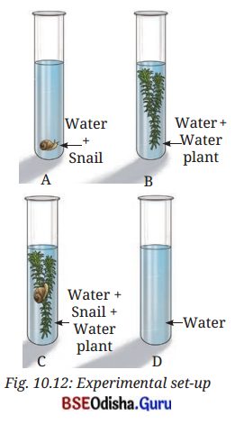 Life Processes in Plants Class 7 Question Answer Science Chapter 10.5