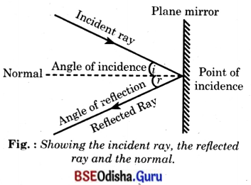 Light Mirrors and Lenses Class 8 Question Answer Science Chapter 10.20