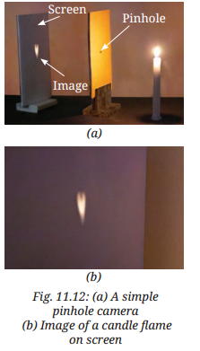 Light Shadows and Reflections Class 7 Notes Science Chapter 11 4